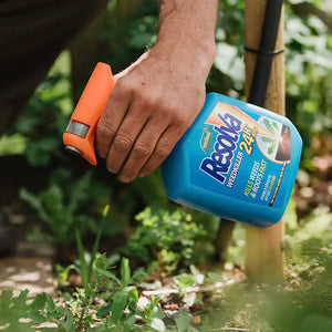 Westland Resolva 24H Ready-To-Use Weedkiller image 2