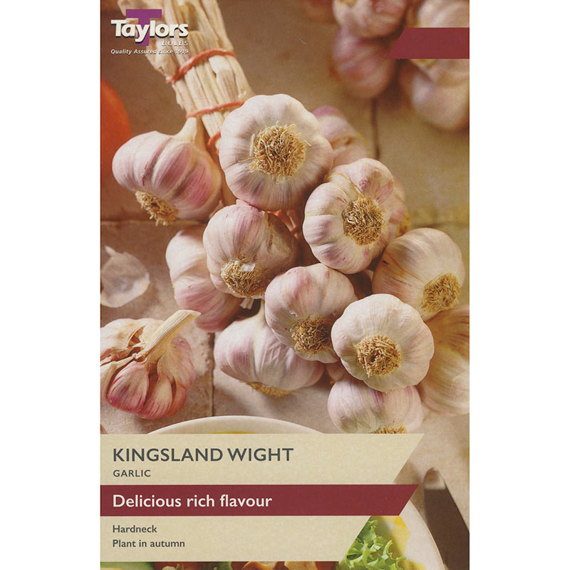 Garlic ‘Kingsland Wight’ (1 Bulb) image 0