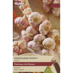Garlic ‘Kingsland Wight’ (1 Bulb) image 0