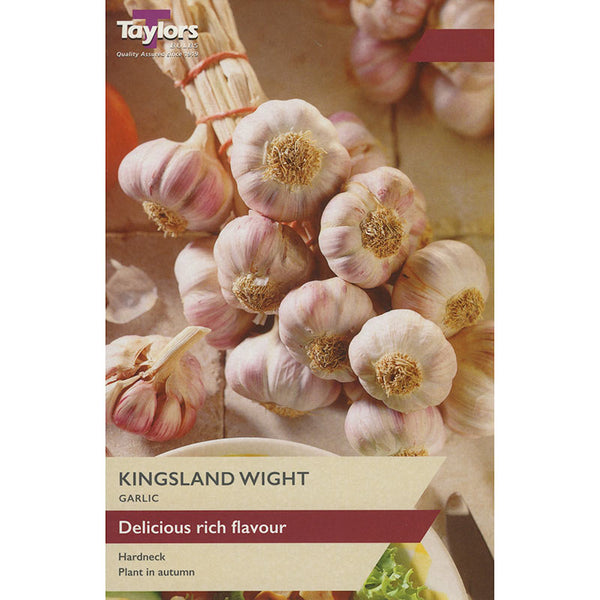 Garlic ‘Kingsland Wight’ (1 Bulb) image 0