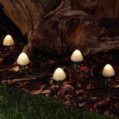 Forest Solar Mushroom Lights (Set of 12) image 0