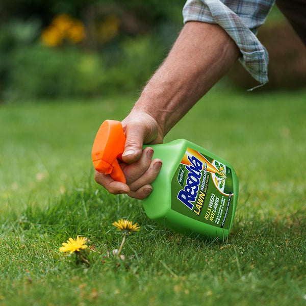 Resolva Lawn Weedkiller Extra Ready To Use image 2