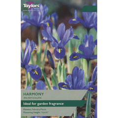 Iris 'Harmony' (12 bulbs) image 0