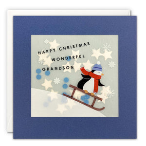 James Ellis Penguin Grandson Christmas Card image 0