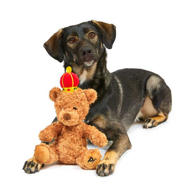 Petface Royal Berti Bear Dog Toy image 7