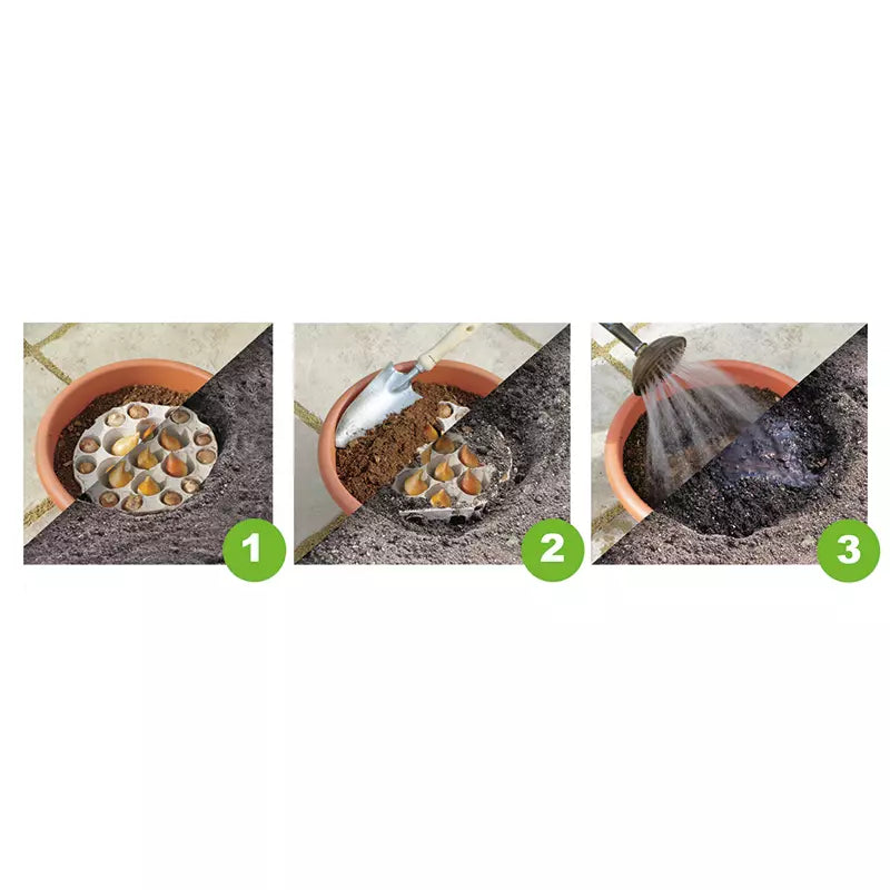 Ready to Plant Plant-O-Mat Narcissus & Muscari 24cm/9.5" (19 bulbs) image 0