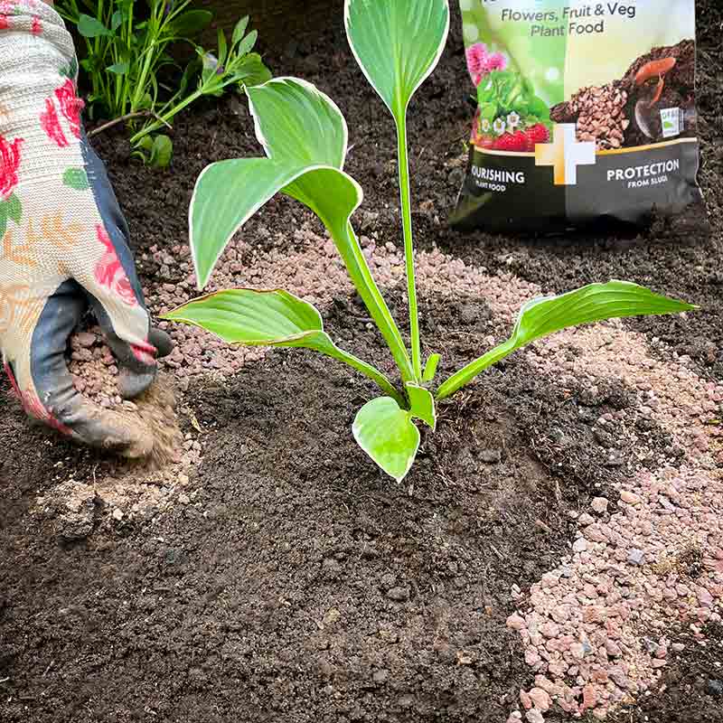 Miracle-Gro 2 in 1 Nourish & Protect Flowers, Fruit & Veg image 0