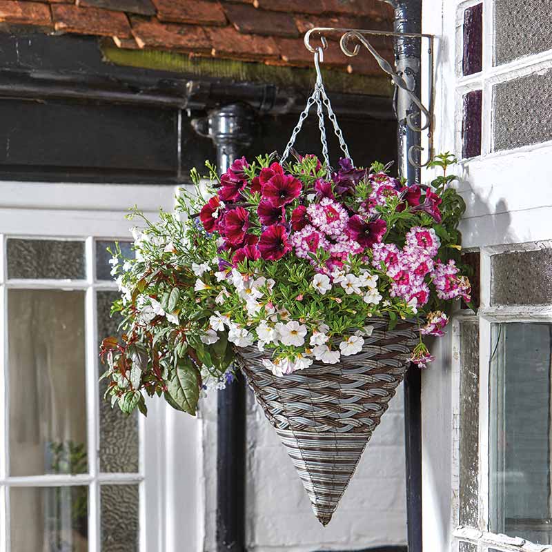 Smart Garden Pinto Faux Rattan Hanging Cone (14-inch) image 0