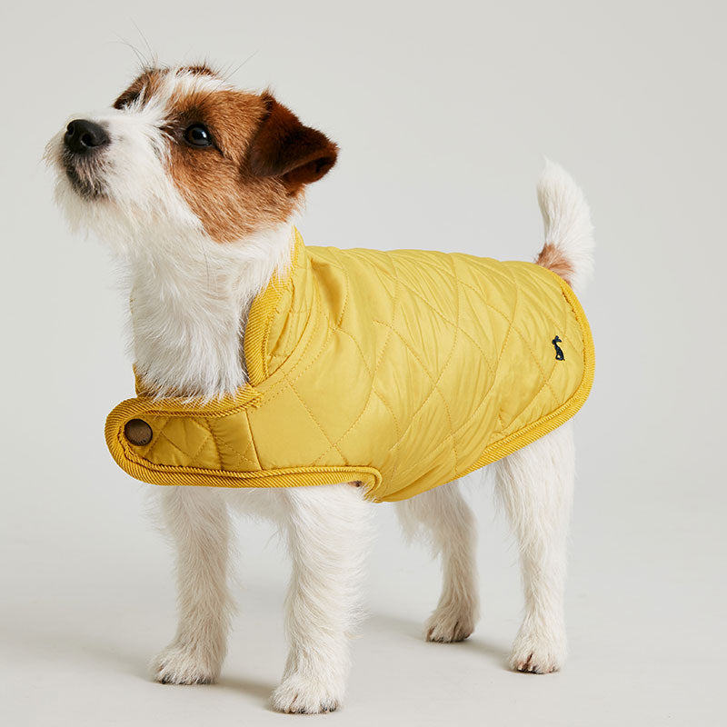 Joules Antique Gold Quilted Dog Coat image 0