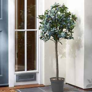 Smart Garden 120cm Artificial Topiary Olive Tree image 0