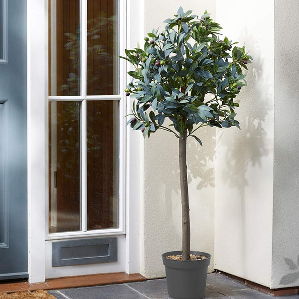 Smart Garden 120cm Artificial Topiary Olive Tree image 0