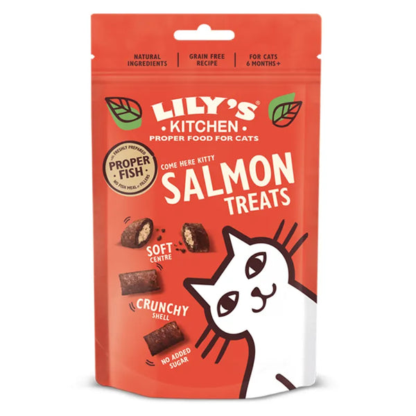 Lily's Kitchen Salmon Treats image 0