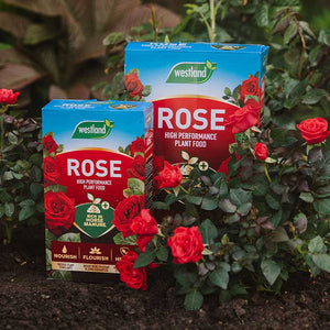 Westland Rose Food Enriched with Horse Manure (1kg) image 3