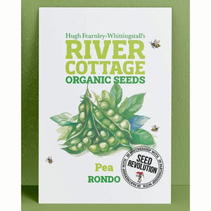 River Cottage Organic Seeds – Pea ‘Rondo’ (1 Packet) image 0