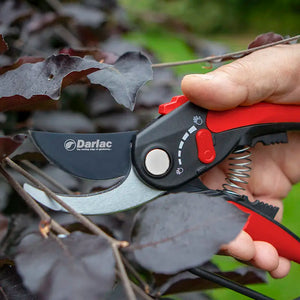 Darlac Adjustable Bypass Pruner image 1
