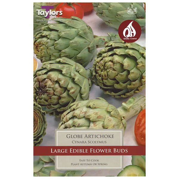 Globe Artichoke image 0