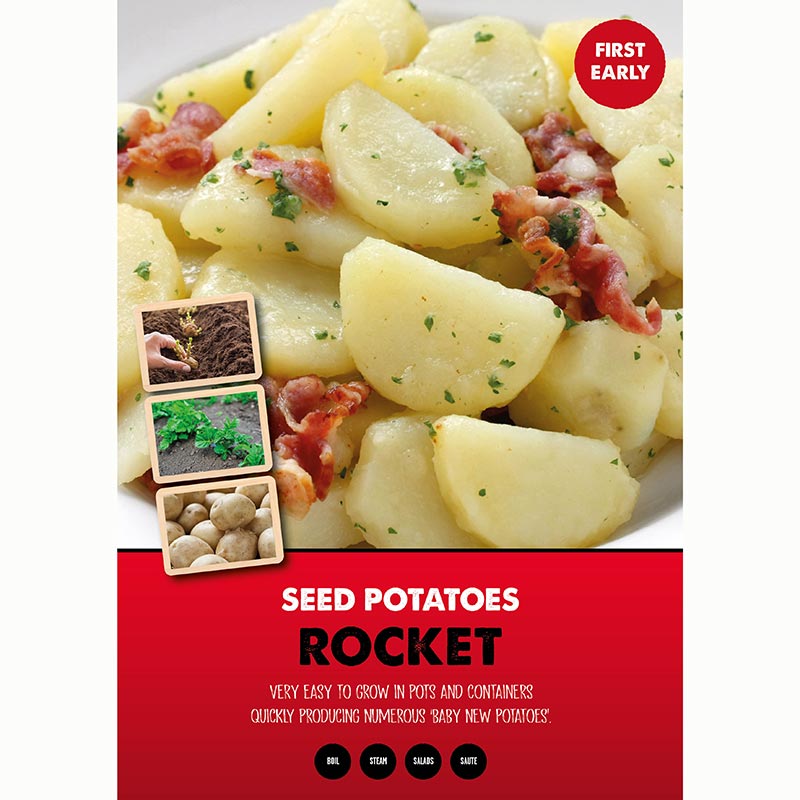 Rocket First Early Seed Potatoes (2kg Bag) image 0