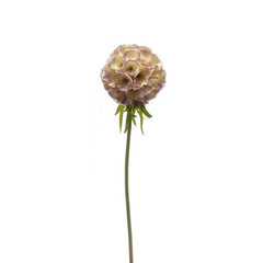 Light Purple Dianthus Stem (53cm) image 0