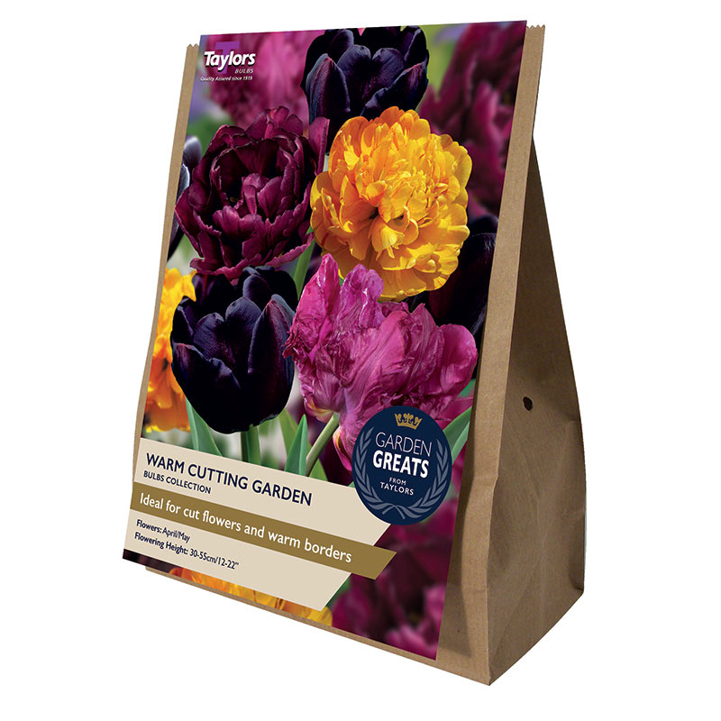 Warm Cutting Garden Tulip Collection (20 Bulbs) image 0