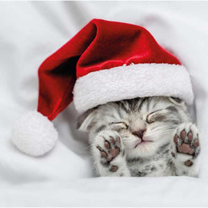 Ling Charity Christmas Cards - Cosy Christmas (Pack of 6) image 0