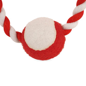 Zoon Tugga Santa Dog Toy (Assorted Designs) image 5