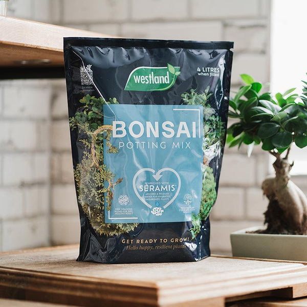 Westland Bonsai Potting Mix (4 litres) image 1