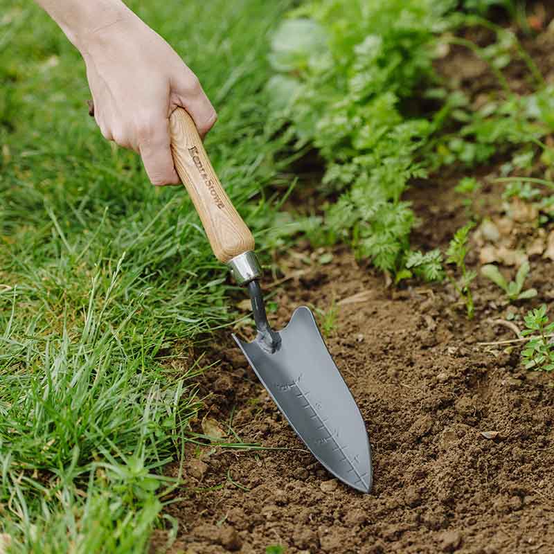 Kent & Stowe Carbon Steel Hand Transplanting Trowel image 0