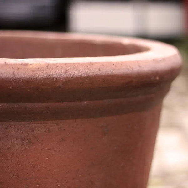 Tall Palermo Terracotta Pot Extra Large (D64cm x H65cm) image 1