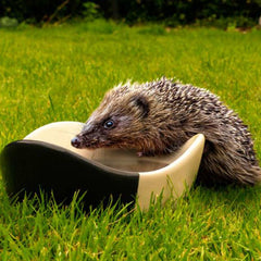 Henry Bell Hedgehog Ceramic Feeding Bowl image 0