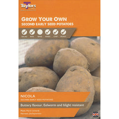 Nicola Second Early Seed Potatoes - Pack of 10 image