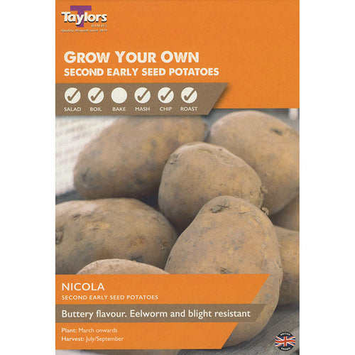Nicola Second Early Seed Potatoes - Pack of 10 image