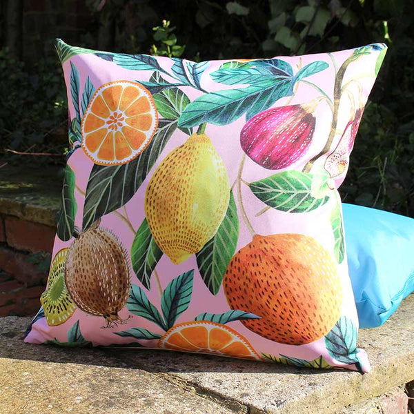 Evans Lichfield Blush Pink Citrus Outdoor Square Cushion, 43 x 43cm image 0