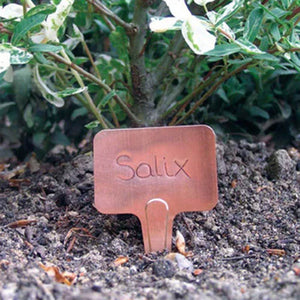 Copper T Labels image 1