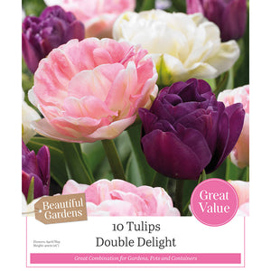 Tulip 'Double Delight' (10 Bulbs) image 0