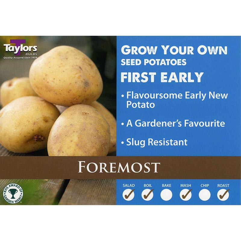 Foremost First Early Seed Potatoes image 0