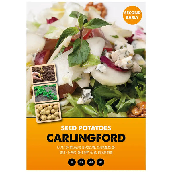 Carlingford Second Early Seed Potatoes image 0