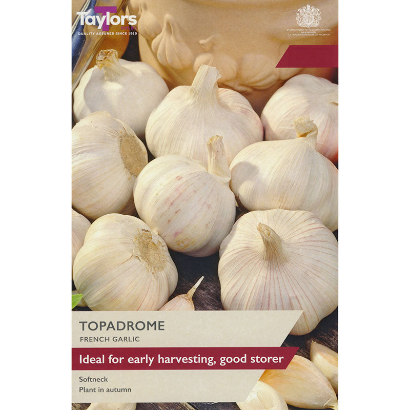 'Topadrome' French Garlic (2 Bulbs) image 0