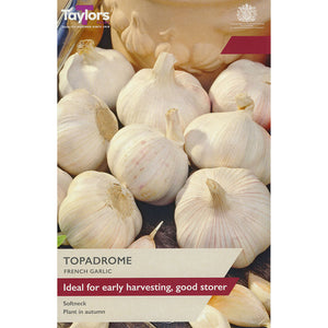'Topadrome' French Garlic (2 Bulbs) image 0