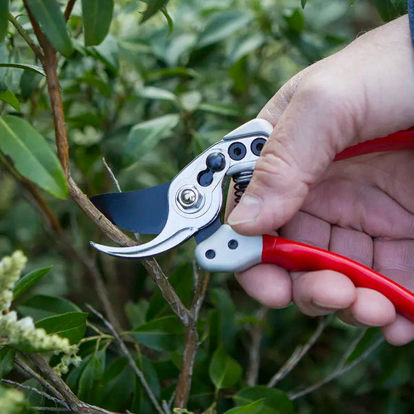Darlac Expert Small Bypass Pruner image 1