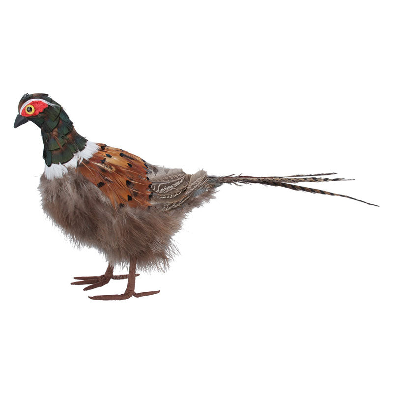 Gisela Graham Feather Pheasant image 0