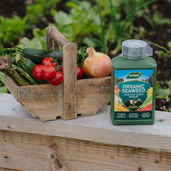 Westland Organic Seaweed Liquid Plant Growth Stimulant (1-Litre) image 0
