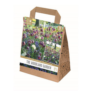 Cottage Garden Collection ‘The Woodland Garden’ (50 Bulbs) image 0