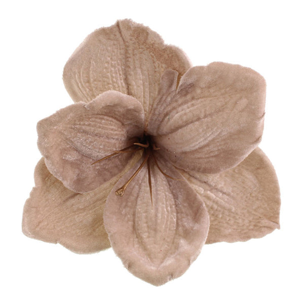 SageDecor Beige Velvet Amaryllis Clip image 0