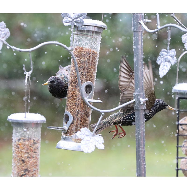 Henry Bell Sterling Bird Feeding Station Kit image 5