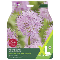 Allium Carolinianum ‘Rosy Dream’ (15 Bulbs) image 0