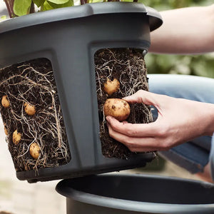 elho® Green Basics Potato Pot 33cm image 2