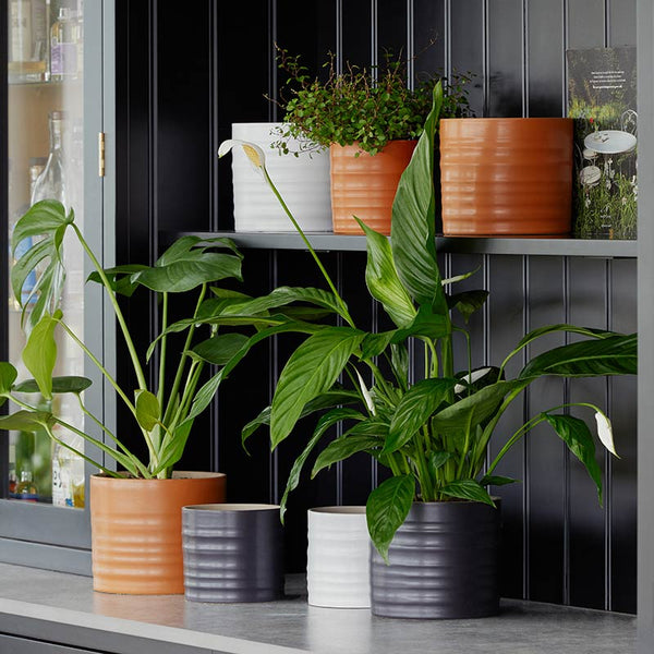 Ivyline Hadleigh Matt Indoor Planter Range image 0