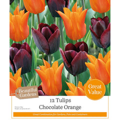 Tulips ‘Chocolate Orange’ (12 Bulbs) image 0