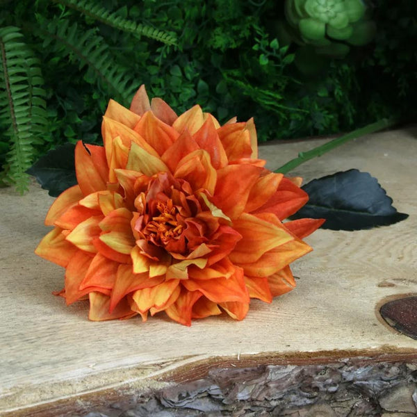 Single Dahlia Stem (61cm) image 2