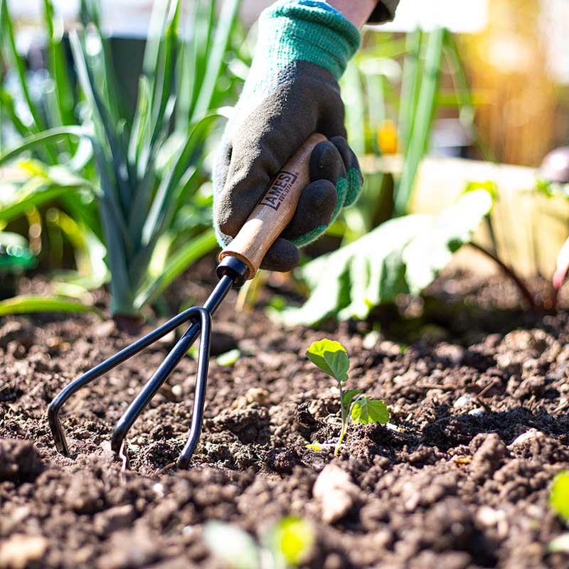 AMES 3 Prong Hand Cultivator Carbon Steel image 0